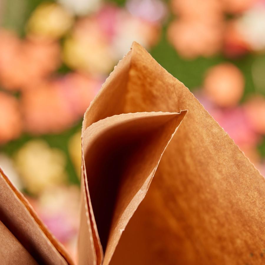 Lowe's 30gal ペーパーバッグ　5枚セット LOWESLL |  | 06