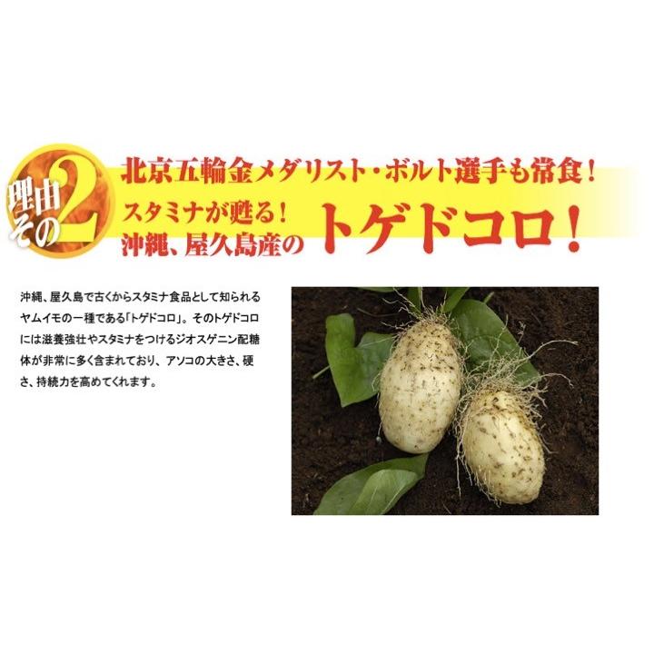 生力　スイカエキス 疲労 活力　天然シトルリン トゲドコロイモ |  | 02