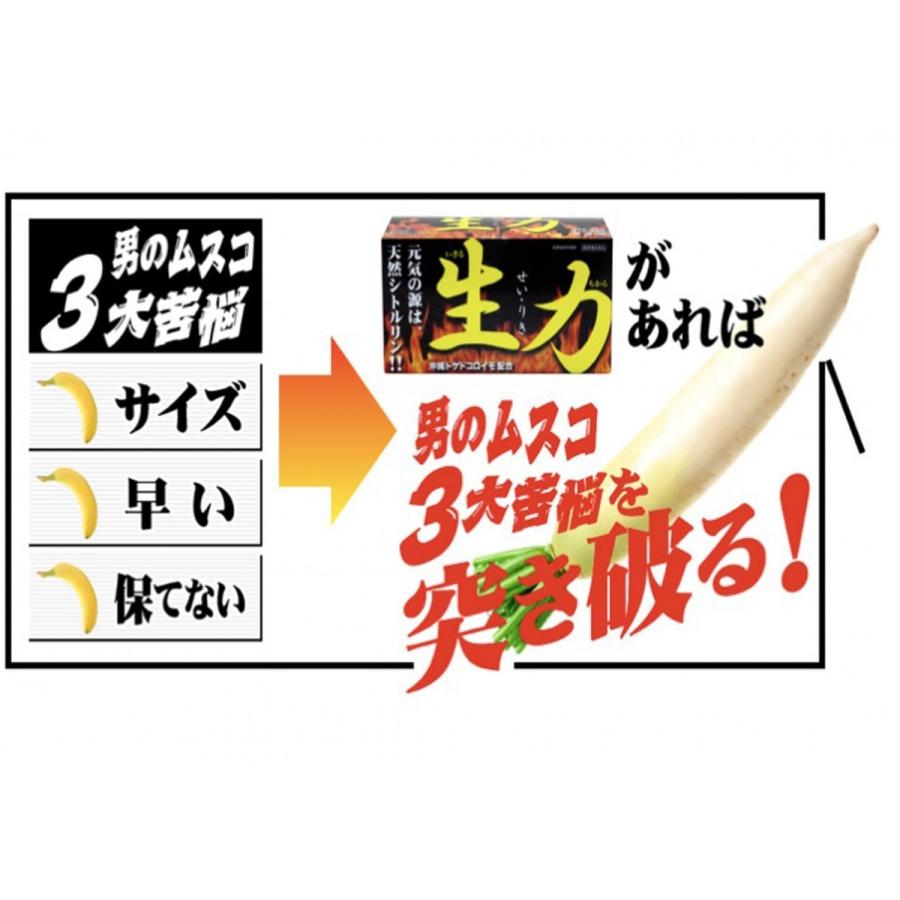 生力　スイカエキス 疲労 活力　天然シトルリン トゲドコロイモ |  | 06