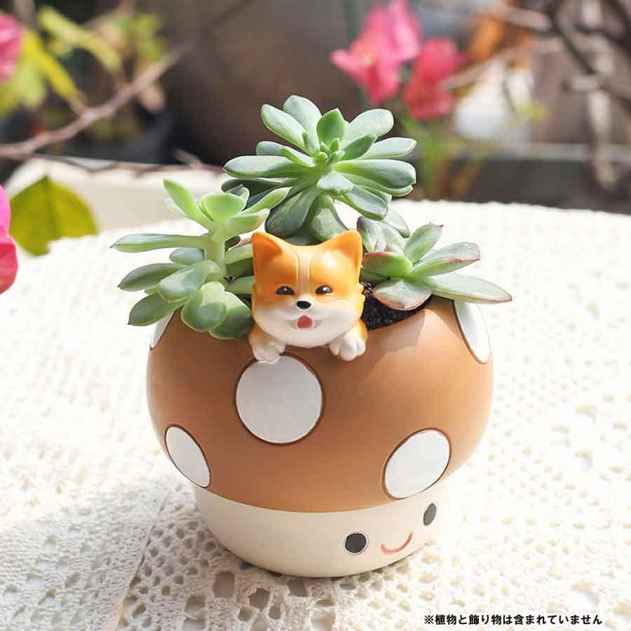 キノコ型植木鉢 母の日 鉢植え 可愛い多肉植物用鉢 動物フィギュア付きプランター 室内植物用可愛い鉢 プレゼント用ユニークな植木鉢 送料無料 |  | 09