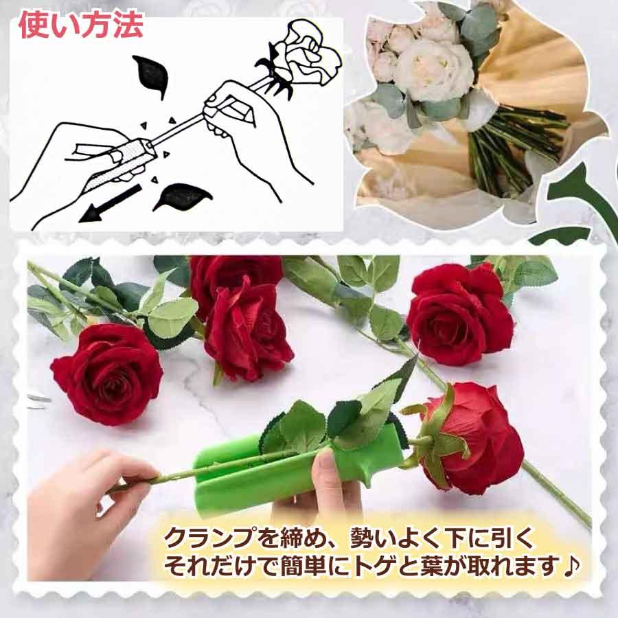 バラ とげぬき とげ取り 刺抜き とげ トゲ 棘 ばら 薔薇 ローズ ガーデニング 剪定 バラ園 花束 作業 安全 庭 ガーデン 送料無料 |  | 06