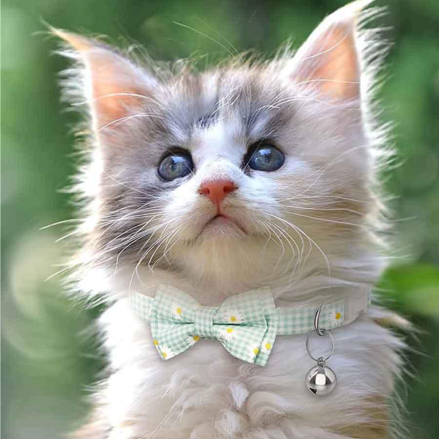 Airtag gps ペット 猫用首輪 追跡装置 エアタグ かわいい 首輪 安全首輪 犬猫 スマホ対応 gpsペット 光反射 調節可能 耐衝撃 安全バックル付き 送料無料 |  | 06