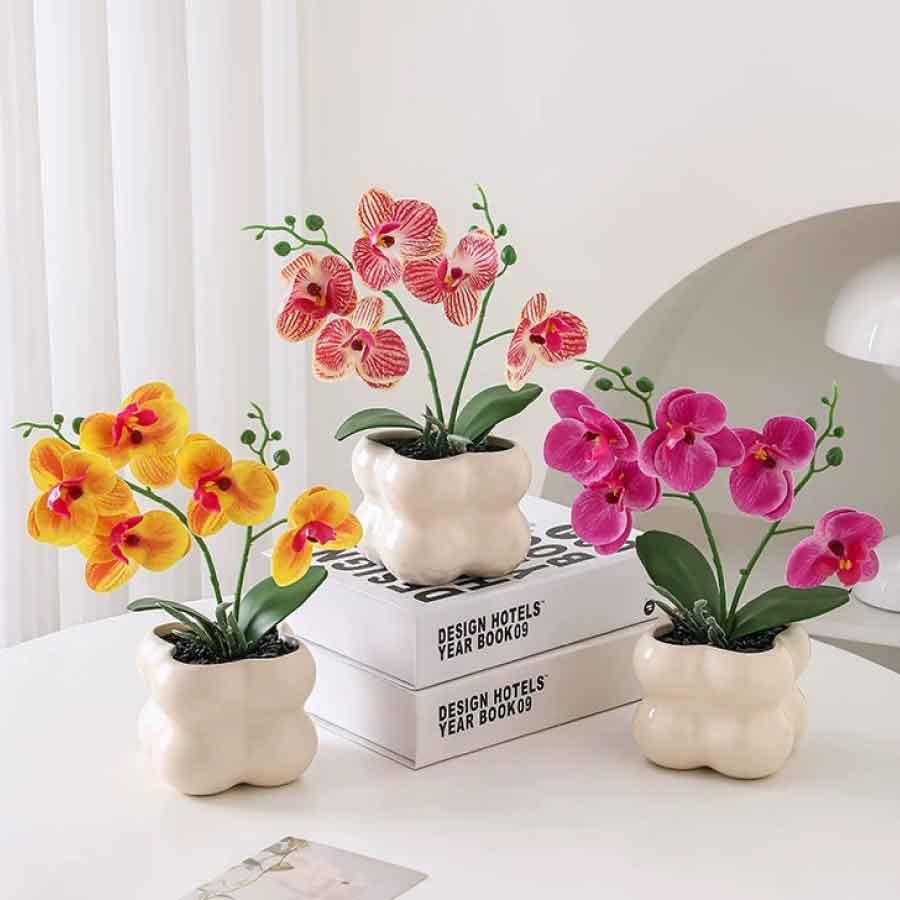 フェイクグリーン 胡蝶蘭 造花 鉢付き 卓上 インテリア 観葉植物 枯れない 花 おしゃれ ミニサイズ ギフト プレゼント 母の日 玄関 リビング |  | 06