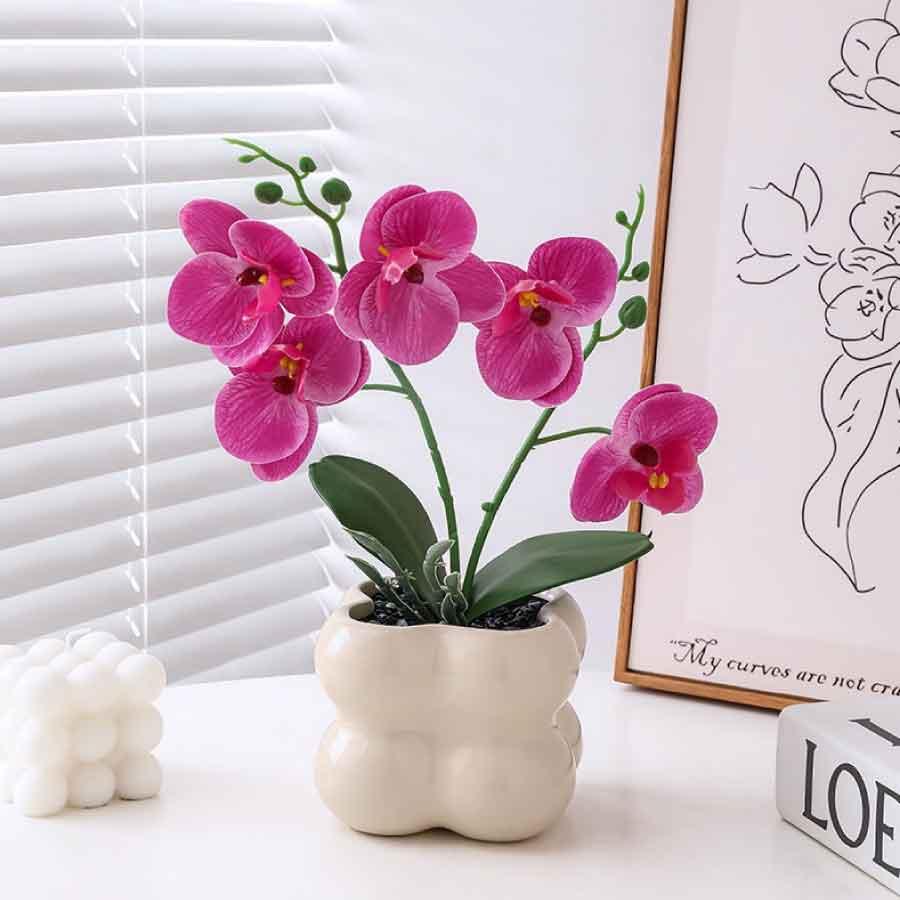 フェイクグリーン 胡蝶蘭 造花 鉢付き 卓上 インテリア 観葉植物 枯れない 花 おしゃれ ミニサイズ ギフト プレゼント 母の日 玄関 リビング |  | 09