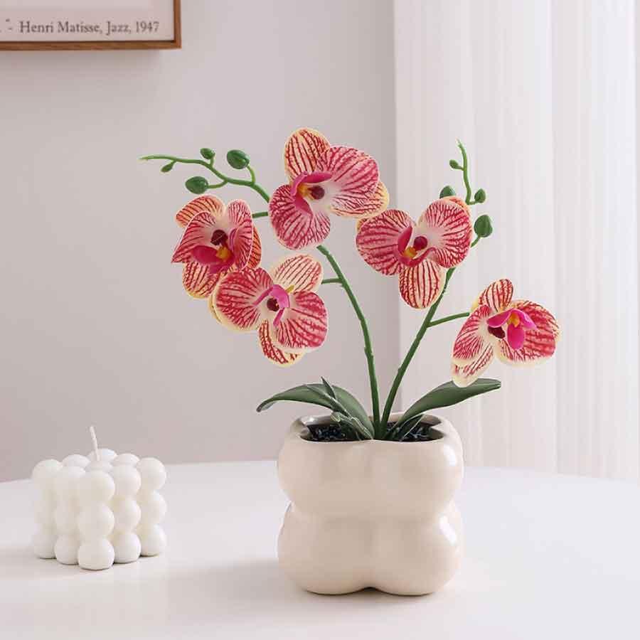 フェイクグリーン 胡蝶蘭 造花 鉢付き 卓上 インテリア 観葉植物 枯れない 花 おしゃれ ミニサイズ ギフト プレゼント 母の日 玄関 リビング |  | 10