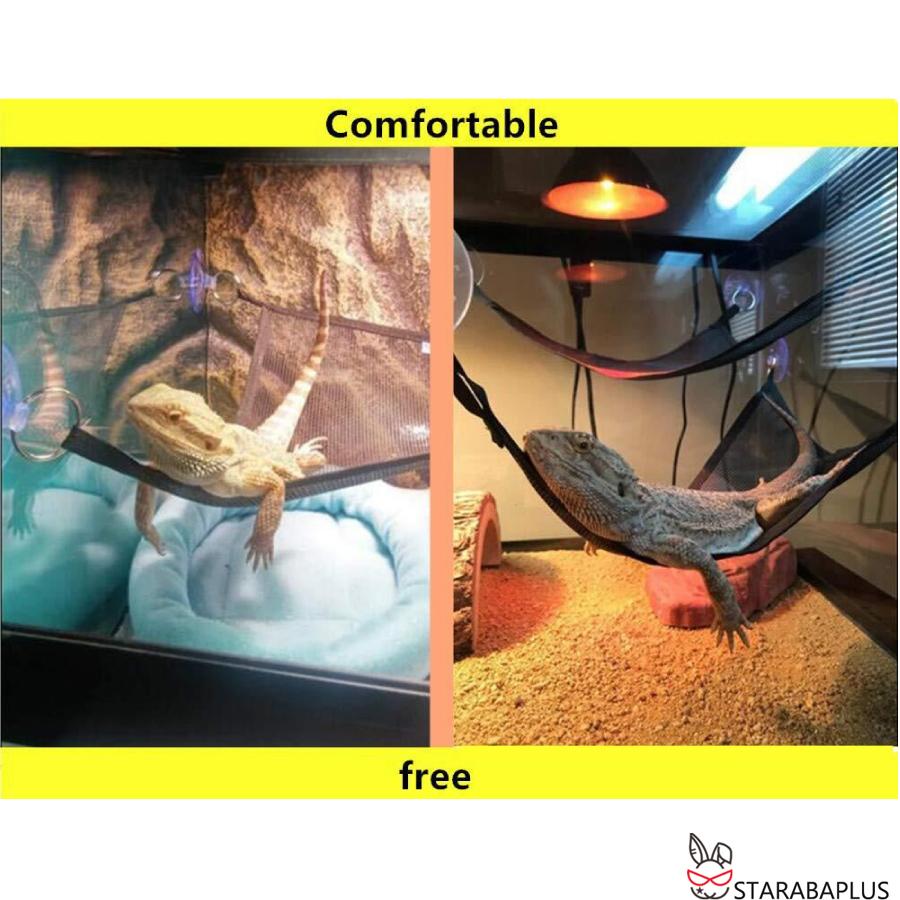 爬虫類 トカゲ ハンモック メッシュ ２点セット メール便 送料無料 |  | 03