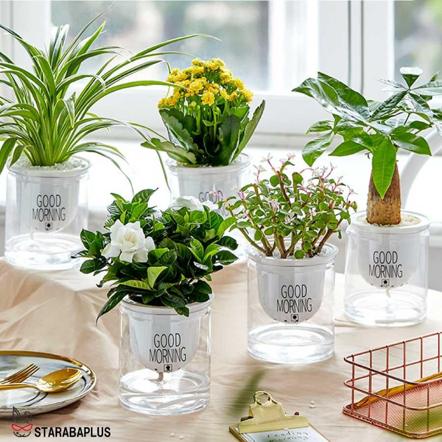 3個セット 自動給水 プランター おしゃれ 家庭菜園 水やり  送料無料 |  | 01