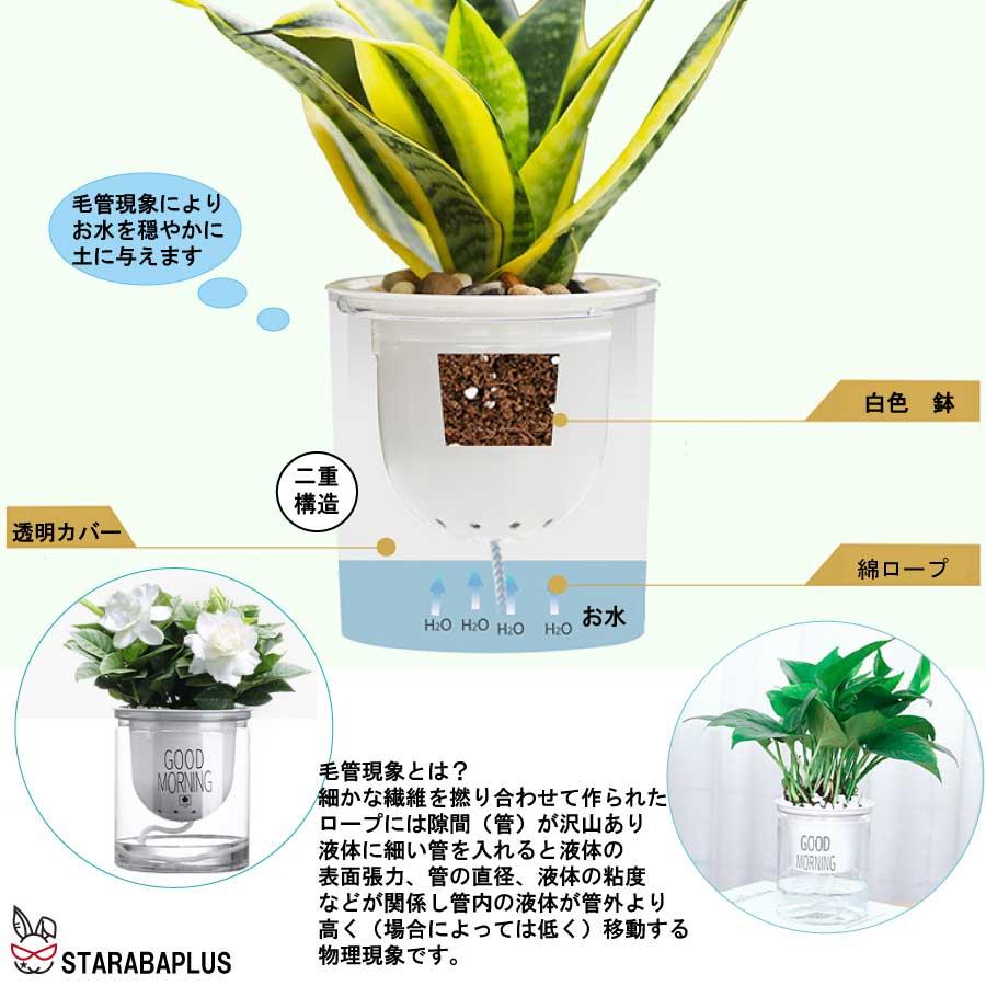 3個セット 自動給水 プランター おしゃれ 家庭菜園 水やり  送料無料 |  | 03