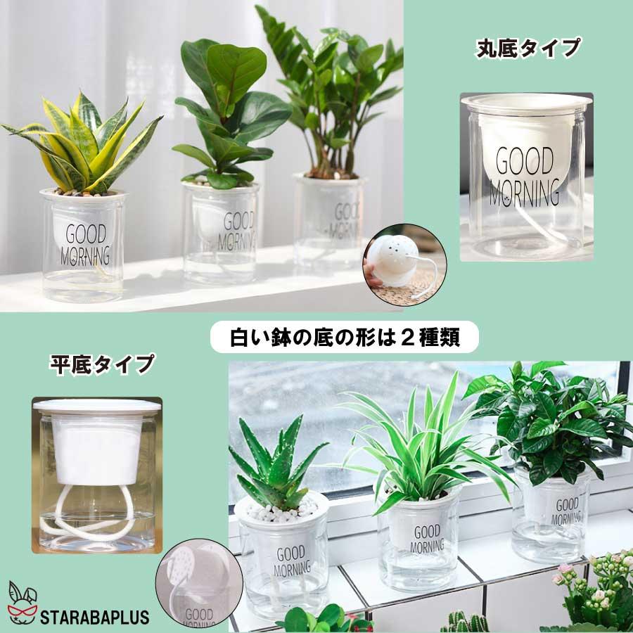 3個セット 自動給水 プランター おしゃれ 家庭菜園 水やり  送料無料 |  | 05