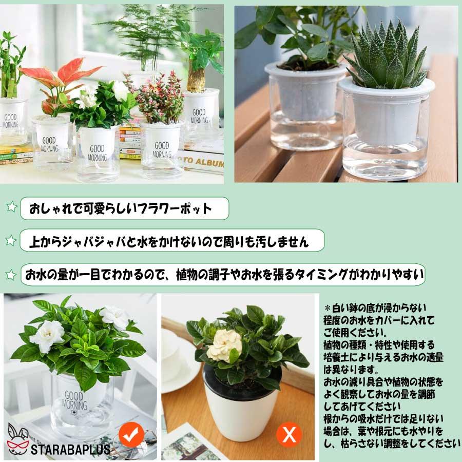 3個セット 自動給水 プランター おしゃれ 家庭菜園 水やり  送料無料 |  | 06