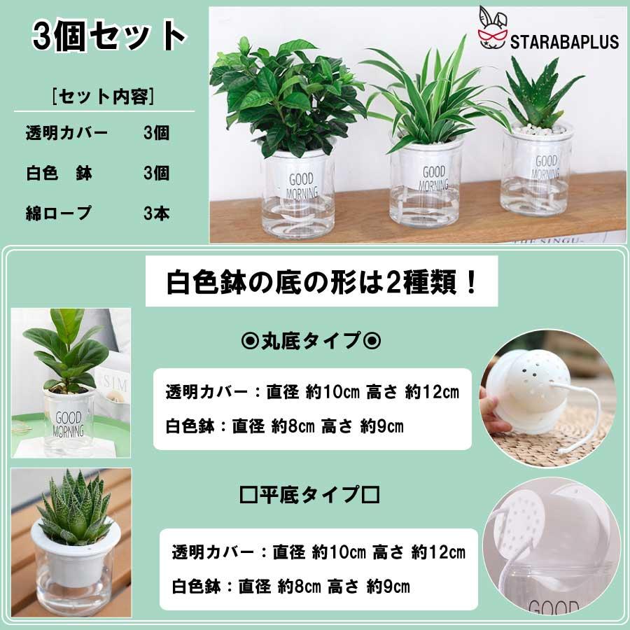 3個セット 自動給水 プランター おしゃれ 家庭菜園 水やり  送料無料 |  | 07