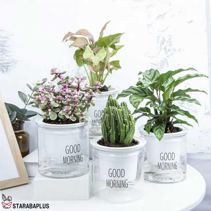 3個セット 自動給水 プランター おしゃれ 家庭菜園 水やり  送料無料 |  | 09