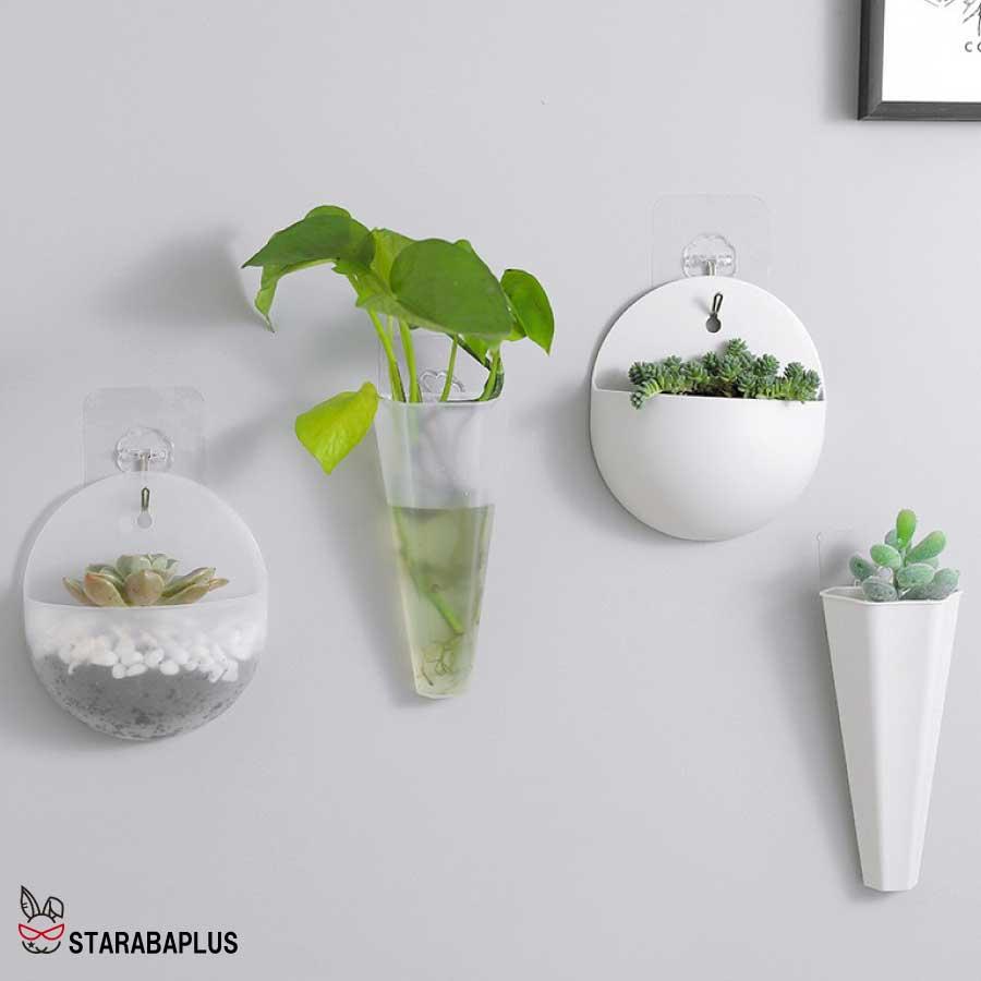 壁掛け プランター 多肉植物　サボテン　ミニ プランター　おしゃれ 可愛い　送料無料 |  | 02