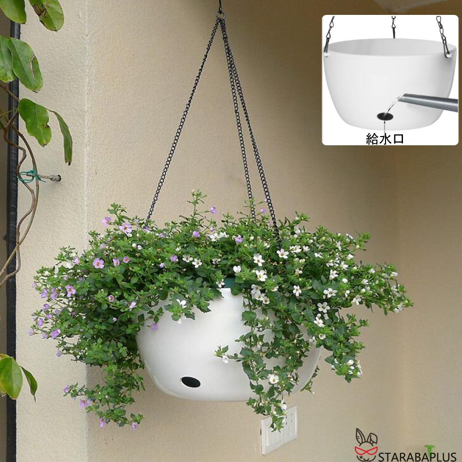 父の日 母の日 吊り下げ プランター 吊りスタンド 自動給水 チェーン 屋外 屋内 植物 ハンガーマクラメ 観葉植物 吊り下げ 送料無料 |  | 03