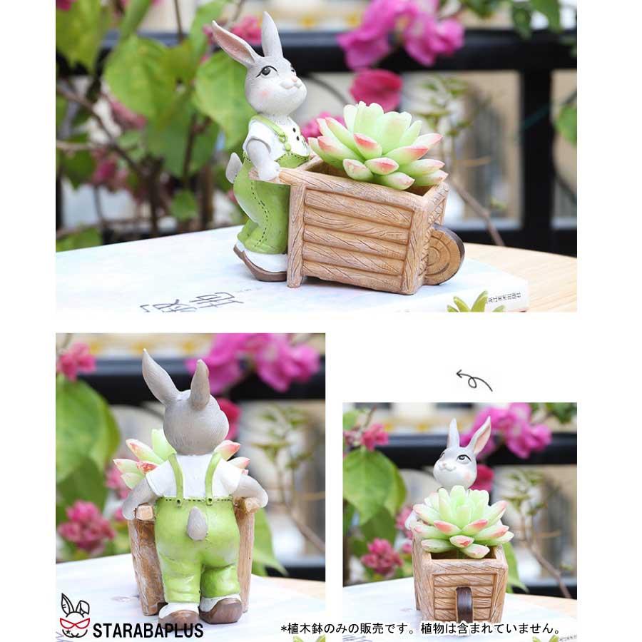 植木鉢 うさぎ ガーデニングオブジェ 鉢植え フラワープランター 多肉植物　サボテン ミニ プランター おしゃれ 可愛い 送料無料 |  | 05