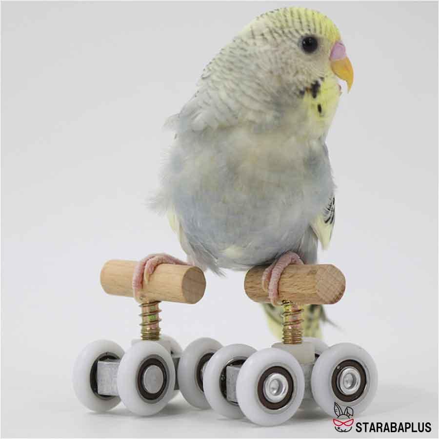 小鳥 インコ オウム ローラースケート ストレス解消 しつけ 訓練 学習 遊び ストレス解消 運動 メール便 送料無料 |  | 03