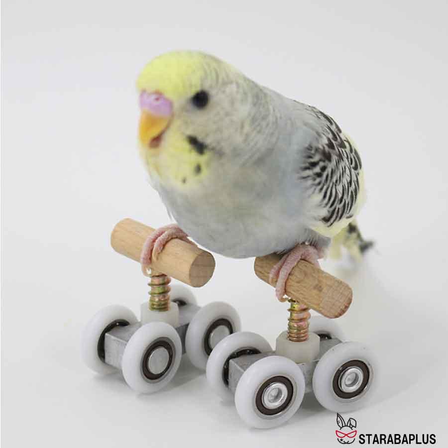 小鳥 インコ オウム ローラースケート ストレス解消 しつけ 訓練 学習 遊び ストレス解消 運動 メール便 送料無料 |  | 04
