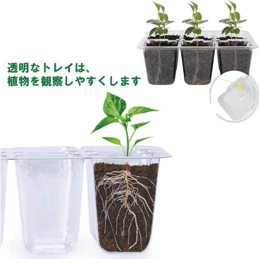 育苗トレイキット 湿度調整 苗 栽培 菜園 卓上型 プランター 屋内 植物 観葉植物  野菜 育てる プレゼント  送料無料 |  | 02