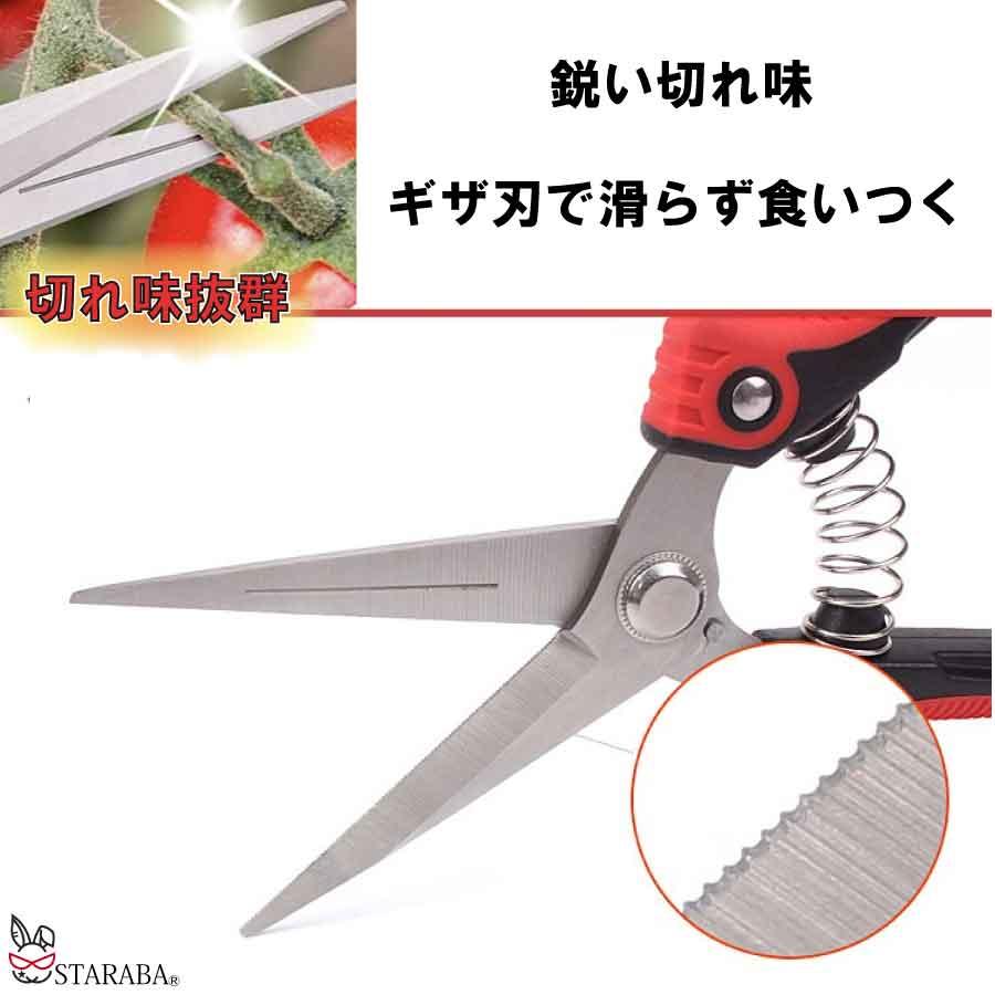 収穫バサミ 摘果 盆栽 芽切り はさみ ハサミ 庭 ガーデン 園芸 枝切り 枝切りばさみ 疲れにくい 作業 庭木 クリックポスト 送料無料 |  | 04