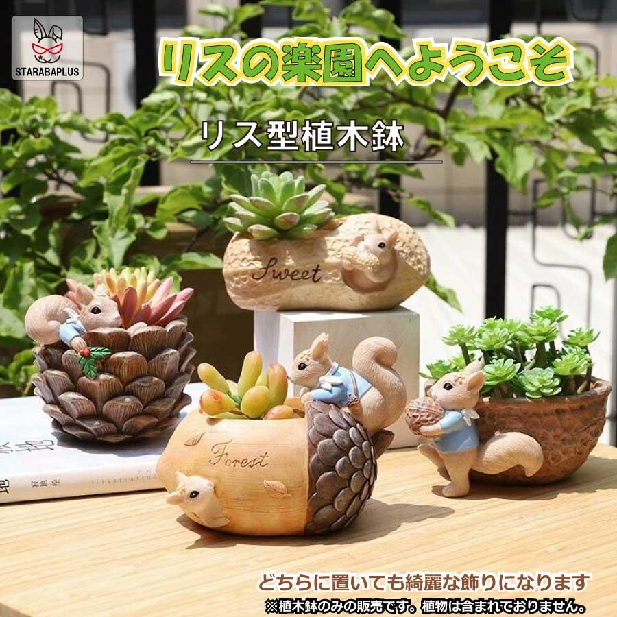 植木鉢 リス りす 母の日 ガーデニングオブジェ 鉢植え フラワープランター 多肉植物　サボテン ミニ プランター おしゃれ 可愛い 送料無料 | 
