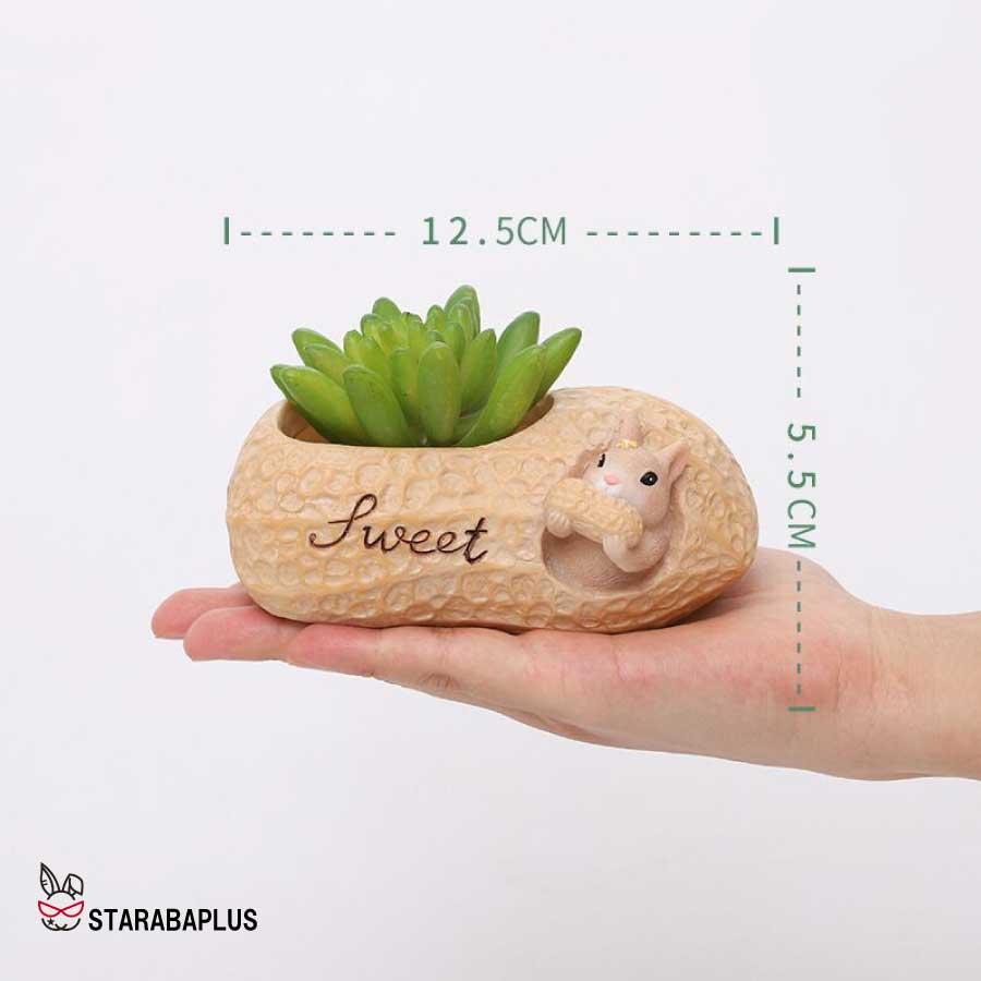植木鉢 リス りす 母の日 ガーデニングオブジェ 鉢植え フラワープランター 多肉植物　サボテン ミニ プランター おしゃれ 可愛い 送料無料 |  | 15