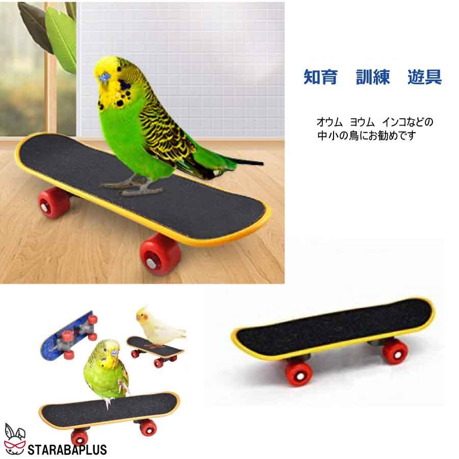 7点セット 小鳥 インコ オウム おもちゃスケボー カート 貯金箱 輪投げ ボール ストレス解消 しつけ 訓練 学習 遊び ストレス解消 運動  送料無料 |  | 02