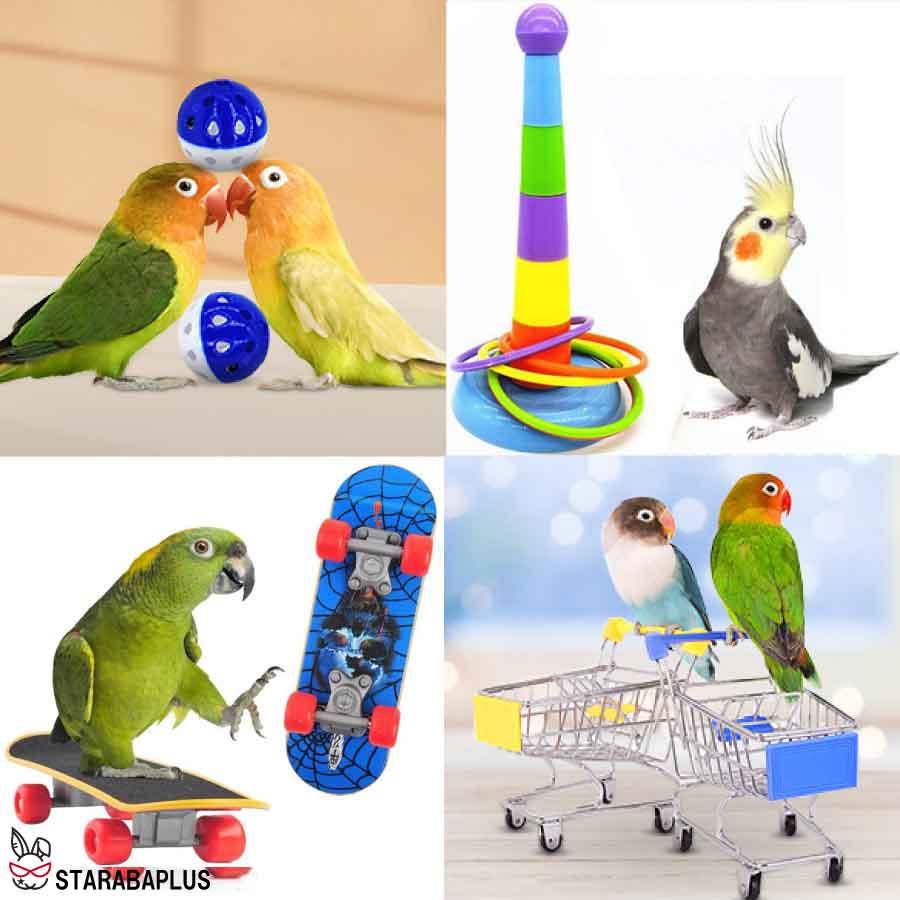7点セット 小鳥 インコ オウム おもちゃスケボー カート 貯金箱 輪投げ ボール ストレス解消 しつけ 訓練 学習 遊び ストレス解消 運動  送料無料 |  | 03