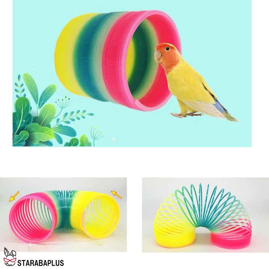 7点セット 小鳥 インコ オウム おもちゃスケボー カート 貯金箱 輪投げ ボール ストレス解消 しつけ 訓練 学習 遊び ストレス解消 運動  送料無料 |  | 05