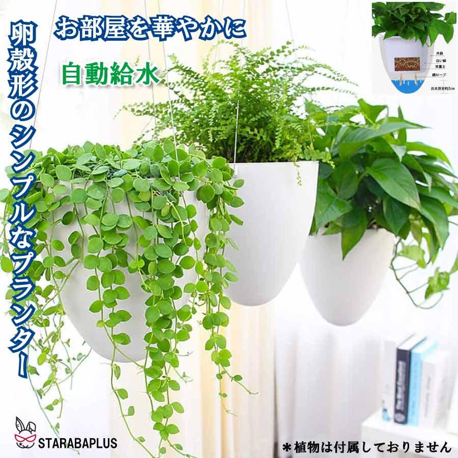 卵 オシャレ 壁掛け 吊り下げ モダン プランター ハンギングバスケット 観葉植物 インテリア 室内 屋外 おしゃれ 送料無料 | 