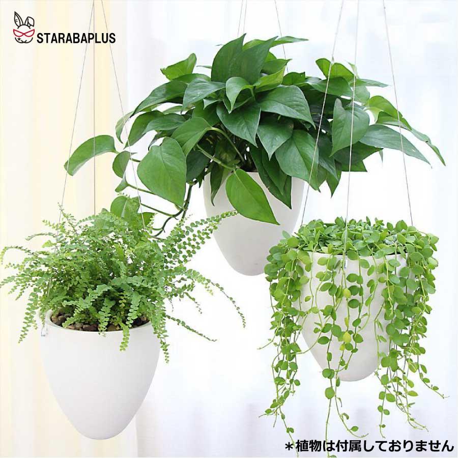 卵 オシャレ 壁掛け 吊り下げ モダン プランター ハンギングバスケット 観葉植物 インテリア 室内 屋外 おしゃれ 送料無料 |  | 01