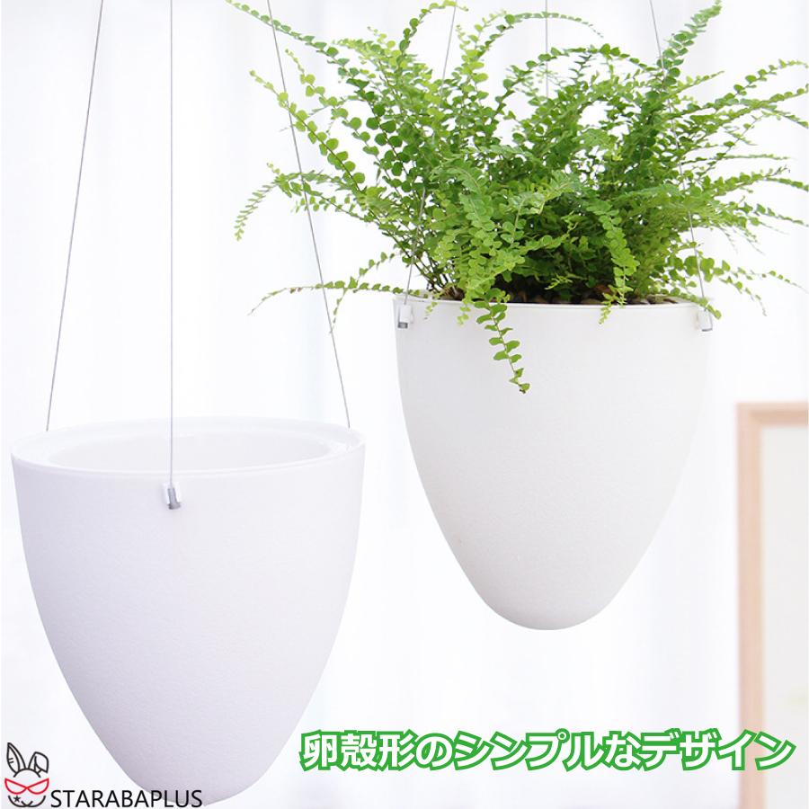 卵 オシャレ 壁掛け 吊り下げ モダン プランター ハンギングバスケット 観葉植物 インテリア 室内 屋外 おしゃれ 送料無料 |  | 02