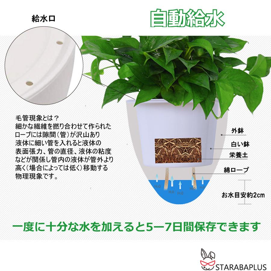 卵 オシャレ 壁掛け 吊り下げ モダン プランター ハンギングバスケット 観葉植物 インテリア 室内 屋外 おしゃれ 送料無料 |  | 04