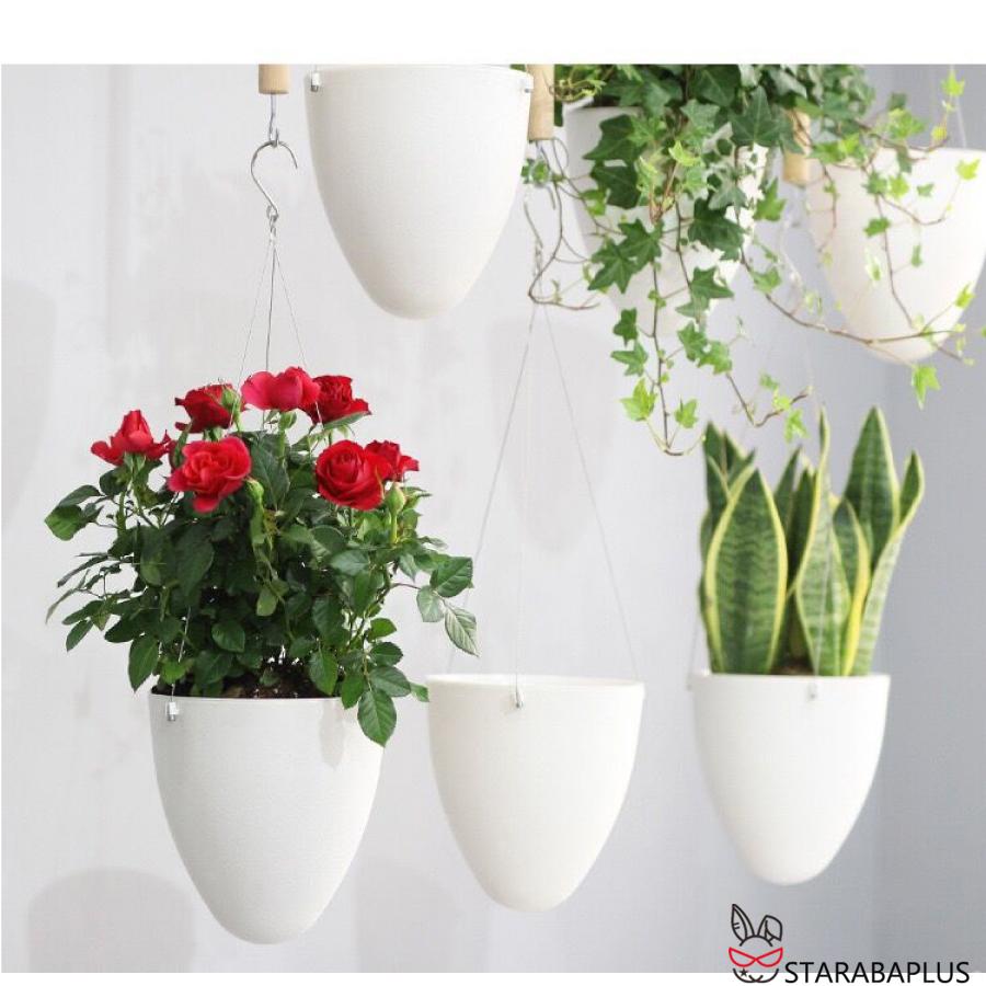 卵 オシャレ 壁掛け 吊り下げ モダン プランター ハンギングバスケット 観葉植物 インテリア 室内 屋外 おしゃれ 送料無料 |  | 05