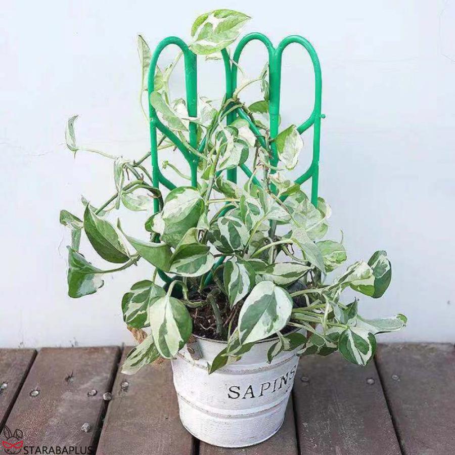 植物支柱 植物 支柱 設置簡単 庭 プランタートレリス 園芸 ガーデニング用品 植木鉢 観葉植物 花鉢 送料無料 |  | 07