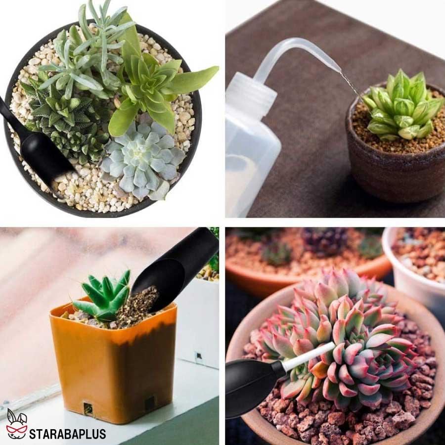 ガーデニング ミニツール 15点セット 多肉植物 観葉植物 室内 園芸用品 寄せ植え 多用途組み合わせ ハンドスコップ ミニチュアガーデン 送料無料 |  | 10