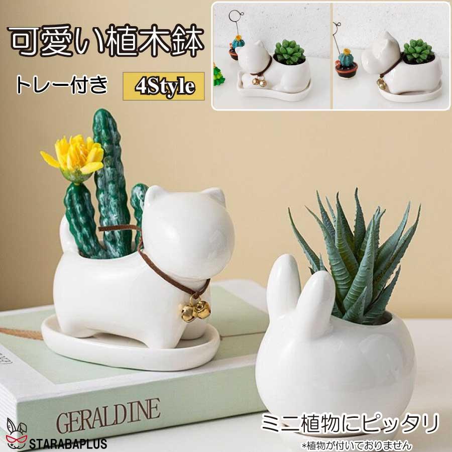 ミニ プランター 植木鉢 多肉植物鉢 サボテン セラミック トレー付き ミニ 観葉植物 ウサギ ネコ カバ いぬ ホーム 部屋飾り 母の日 送料無料 | 