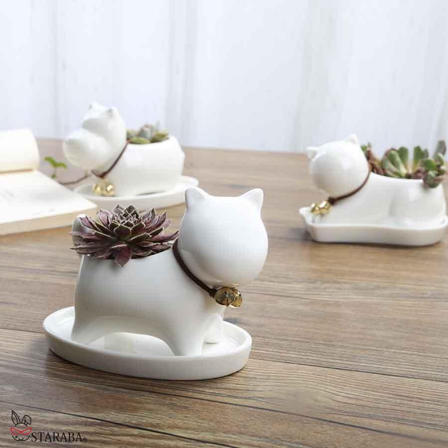 ミニ プランター 植木鉢 多肉植物鉢 サボテン セラミック トレー付き ミニ 観葉植物 ウサギ ネコ カバ いぬ ホーム 部屋飾り 母の日 送料無料 |  | 07