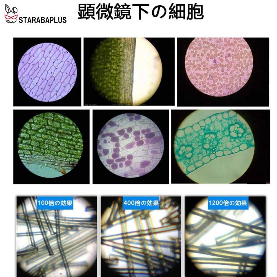 顕微鏡 子供 顕微鏡セット 高倍率 初心者 マイクロスコープ ミニ顕微鏡 LED照明付き プレゼント 小学生 中学生 高校生 科学実験学習 おもちゃ 送料無料 |  | 07