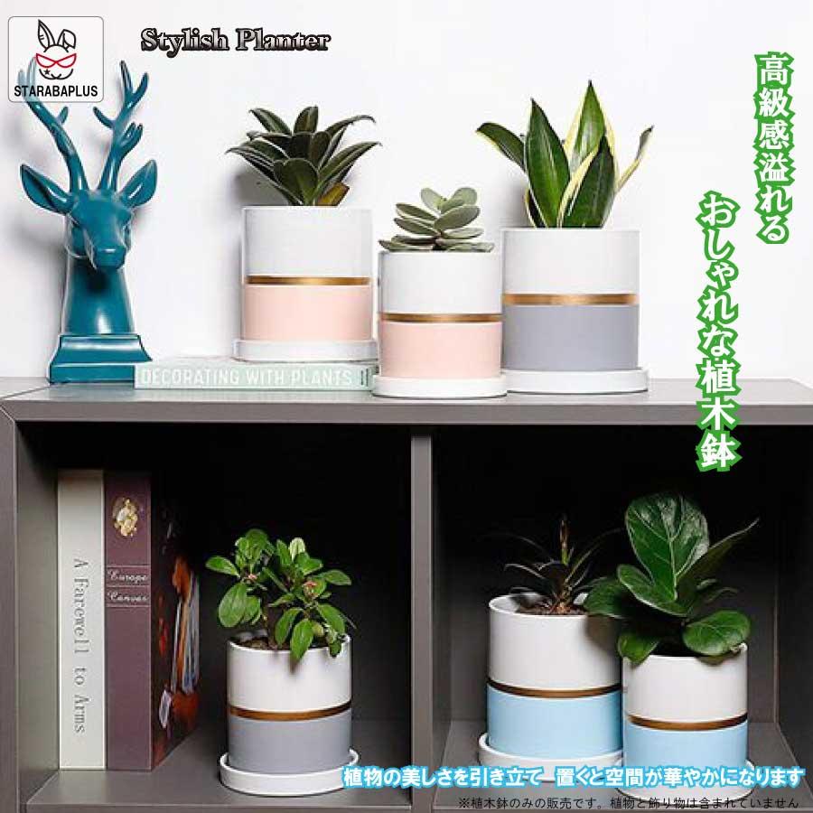 陶器鉢 植木鉢 おしゃれ 鉢植え プランター 円筒形 室内鉢 受け皿付き 穴あり 多肉植物 観葉植物鉢 送料無料 | 