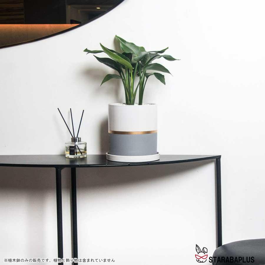 陶器鉢 植木鉢 おしゃれ 鉢植え プランター 円筒形 室内鉢 受け皿付き 穴あり 多肉植物 観葉植物鉢 送料無料 |  | 04