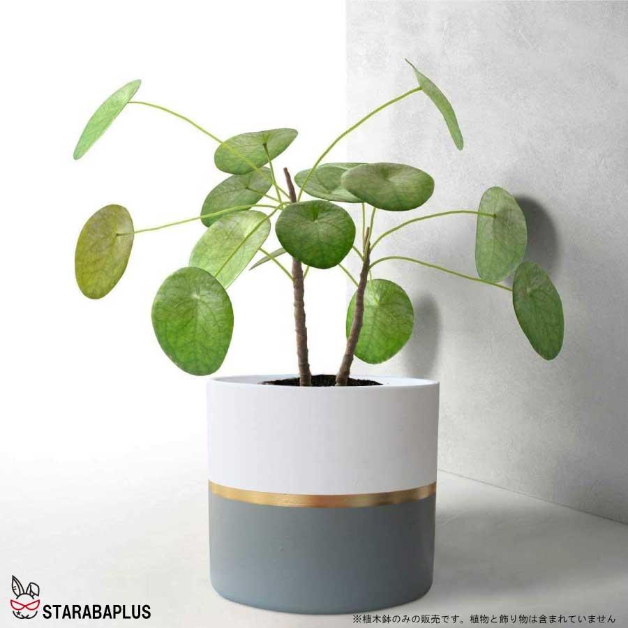 陶器鉢 植木鉢 おしゃれ 鉢植え プランター 円筒形 室内鉢 受け皿付き 穴あり 多肉植物 観葉植物鉢 送料無料 |  | 05