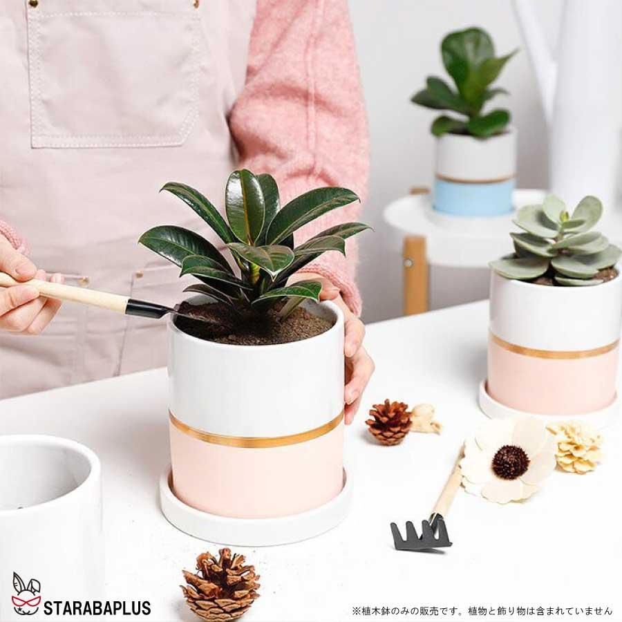 陶器鉢 植木鉢 おしゃれ 鉢植え プランター 円筒形 室内鉢 受け皿付き 穴あり 多肉植物 観葉植物鉢 送料無料 |  | 09