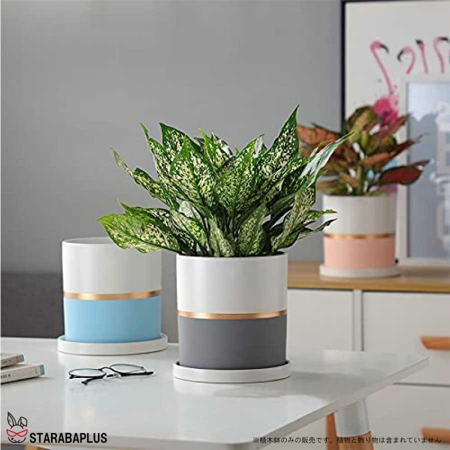 陶器鉢 植木鉢 おしゃれ 鉢植え プランター 円筒形 室内鉢 受け皿付き 穴あり 多肉植物 観葉植物鉢 送料無料 |  | 10