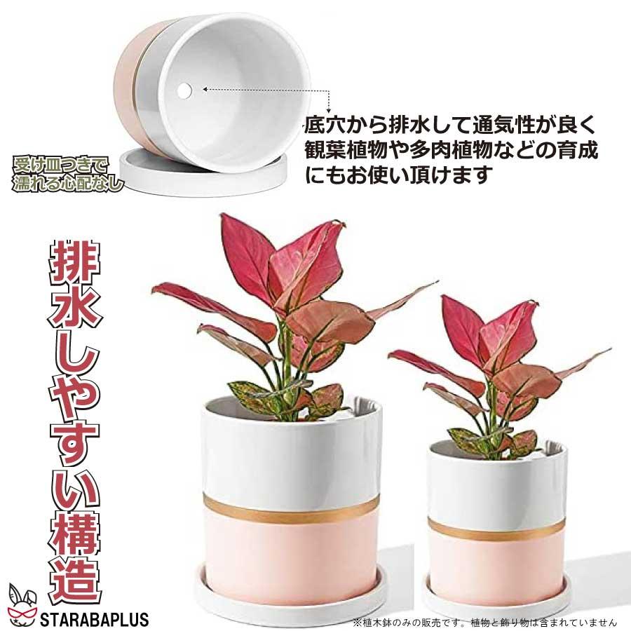 陶器鉢 植木鉢 おしゃれ 鉢植え プランター 円筒形 室内鉢 受け皿付き 穴あり 多肉植物 観葉植物鉢 送料無料 |  | 11