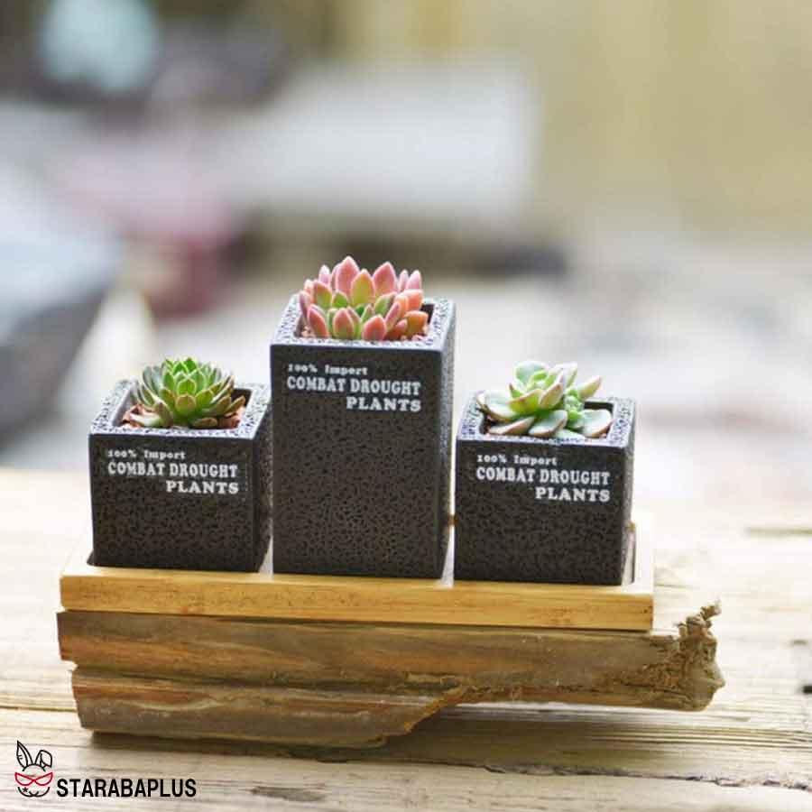 植木鉢 3点セット 多肉植物鉢 サボテン鉢 フラワーポット プランター容器  北欧 おしゃれ 卓上 飾り置物 インテリア 送料無料 |  | 01