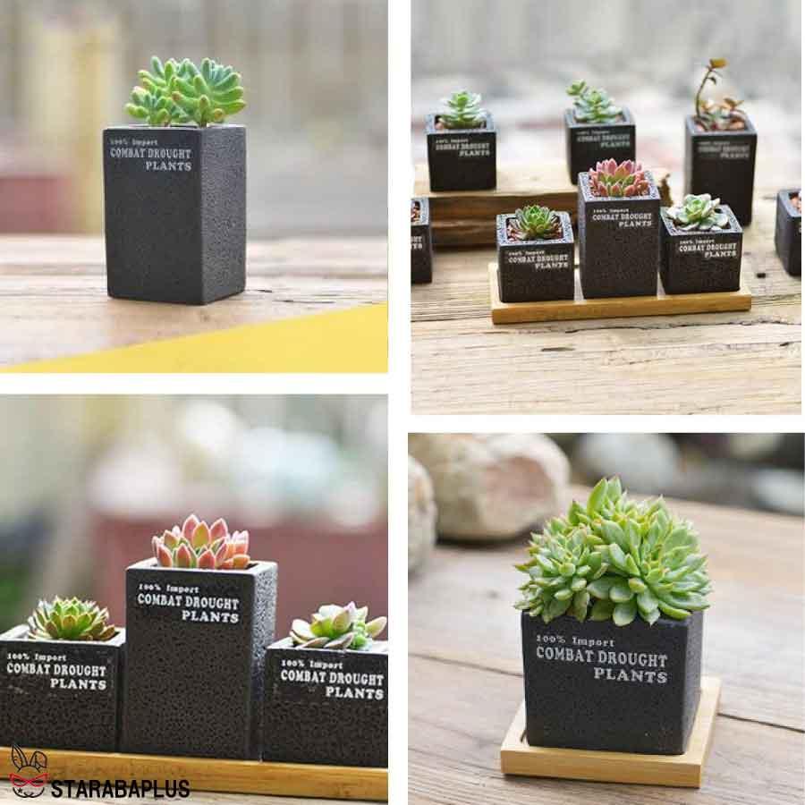 植木鉢 3点セット 多肉植物鉢 サボテン鉢 フラワーポット プランター容器  北欧 おしゃれ 卓上 飾り置物 インテリア 送料無料 |  | 02