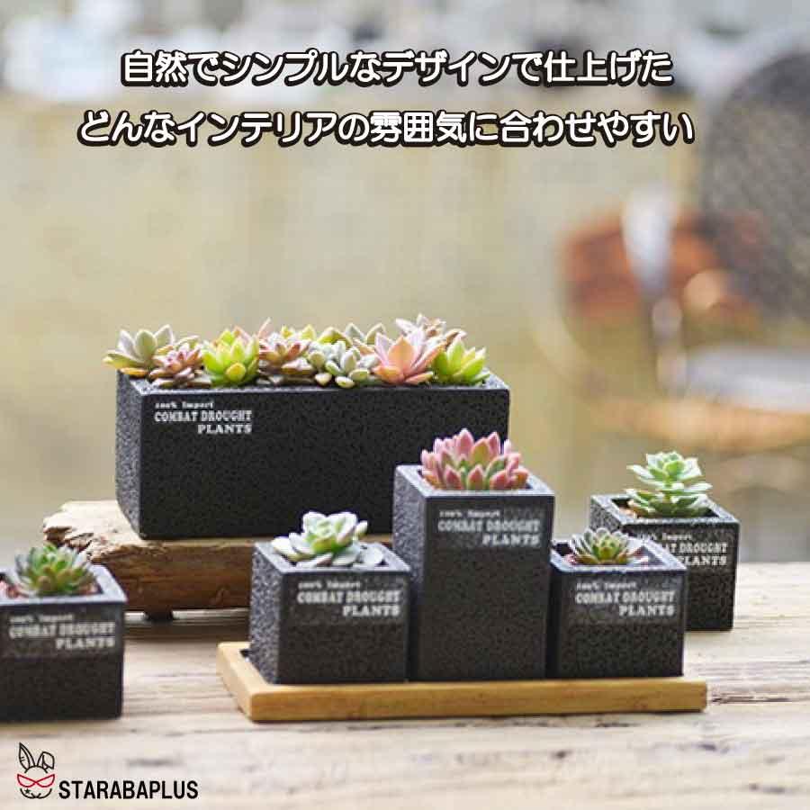 植木鉢 3点セット 多肉植物鉢 サボテン鉢 フラワーポット プランター容器  北欧 おしゃれ 卓上 飾り置物 インテリア 送料無料 |  | 03