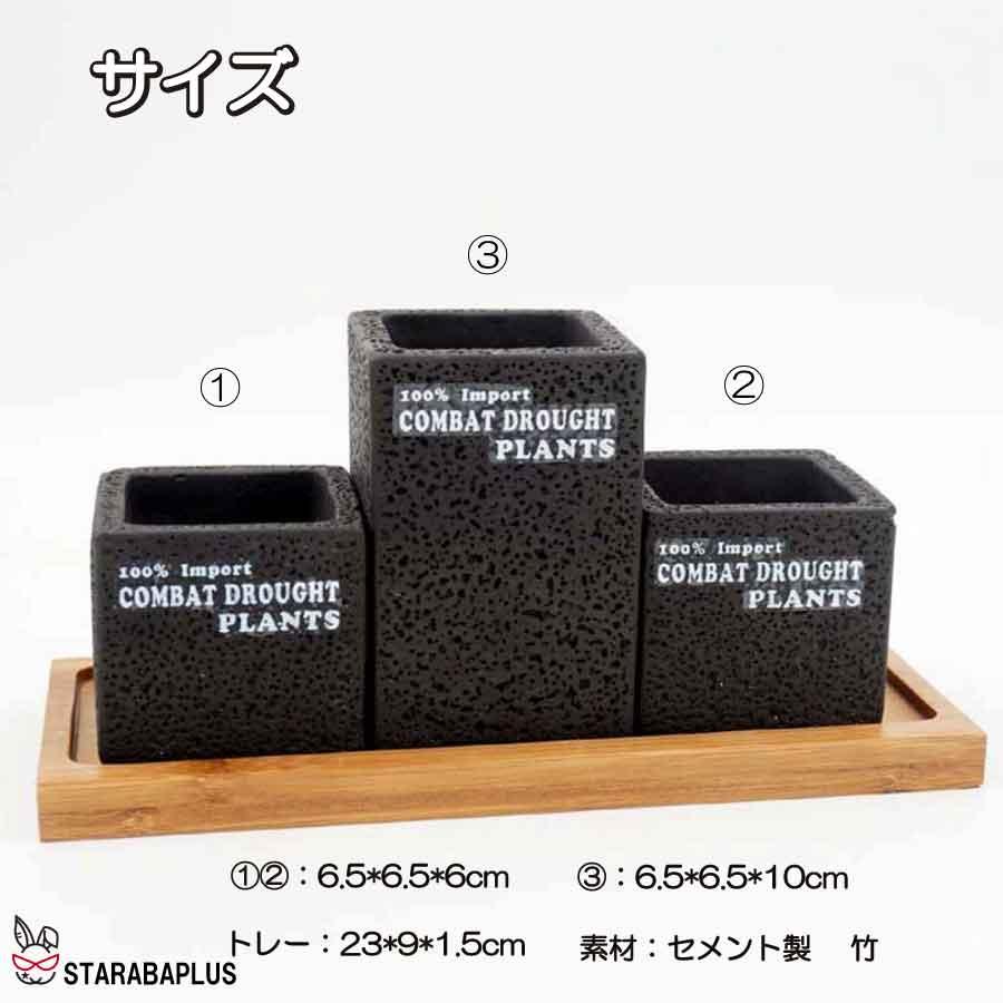 植木鉢 3点セット 多肉植物鉢 サボテン鉢 フラワーポット プランター容器  北欧 おしゃれ 卓上 飾り置物 インテリア 送料無料 |  | 04