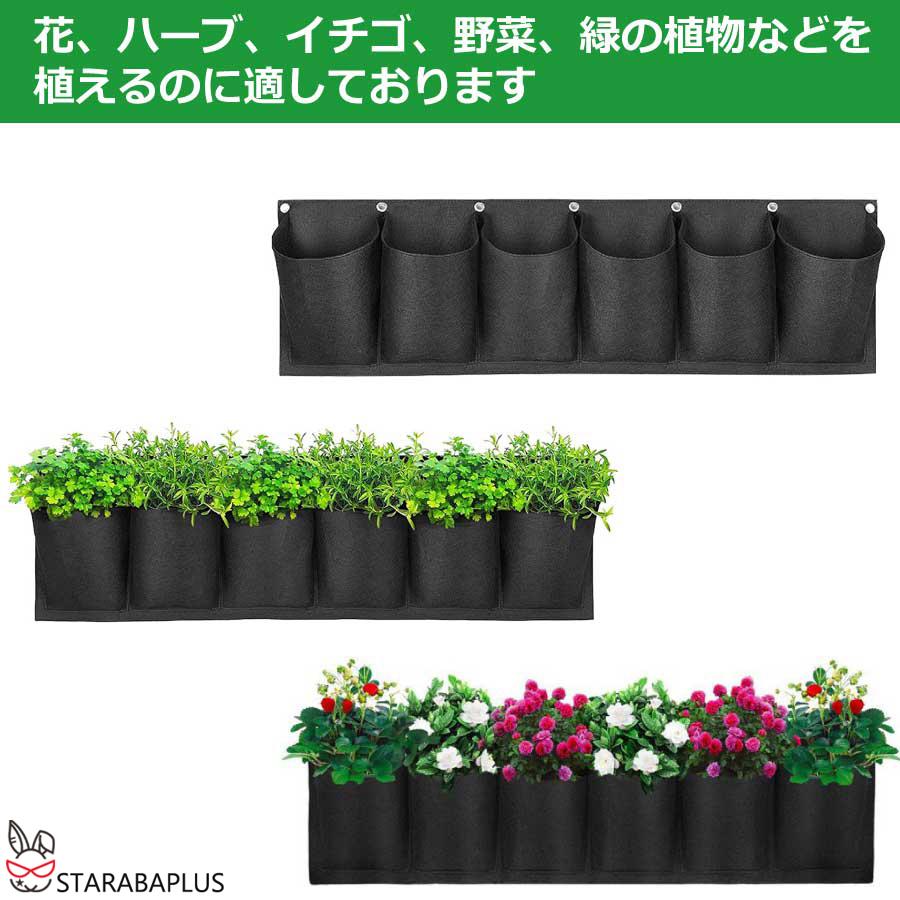 栽培ポット 吊下げ 苗 栽培 菜園 プランター 屋内 植物 観葉植物   育てる プレゼント  送料無料 |  | 02