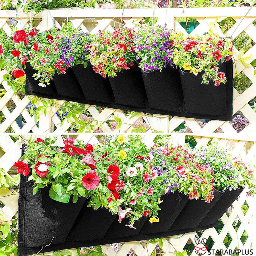 栽培ポット 吊下げ 苗 栽培 菜園 プランター 屋内 植物 観葉植物   育てる プレゼント  送料無料 |  | 07